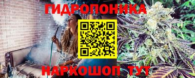 стаф Заволжье